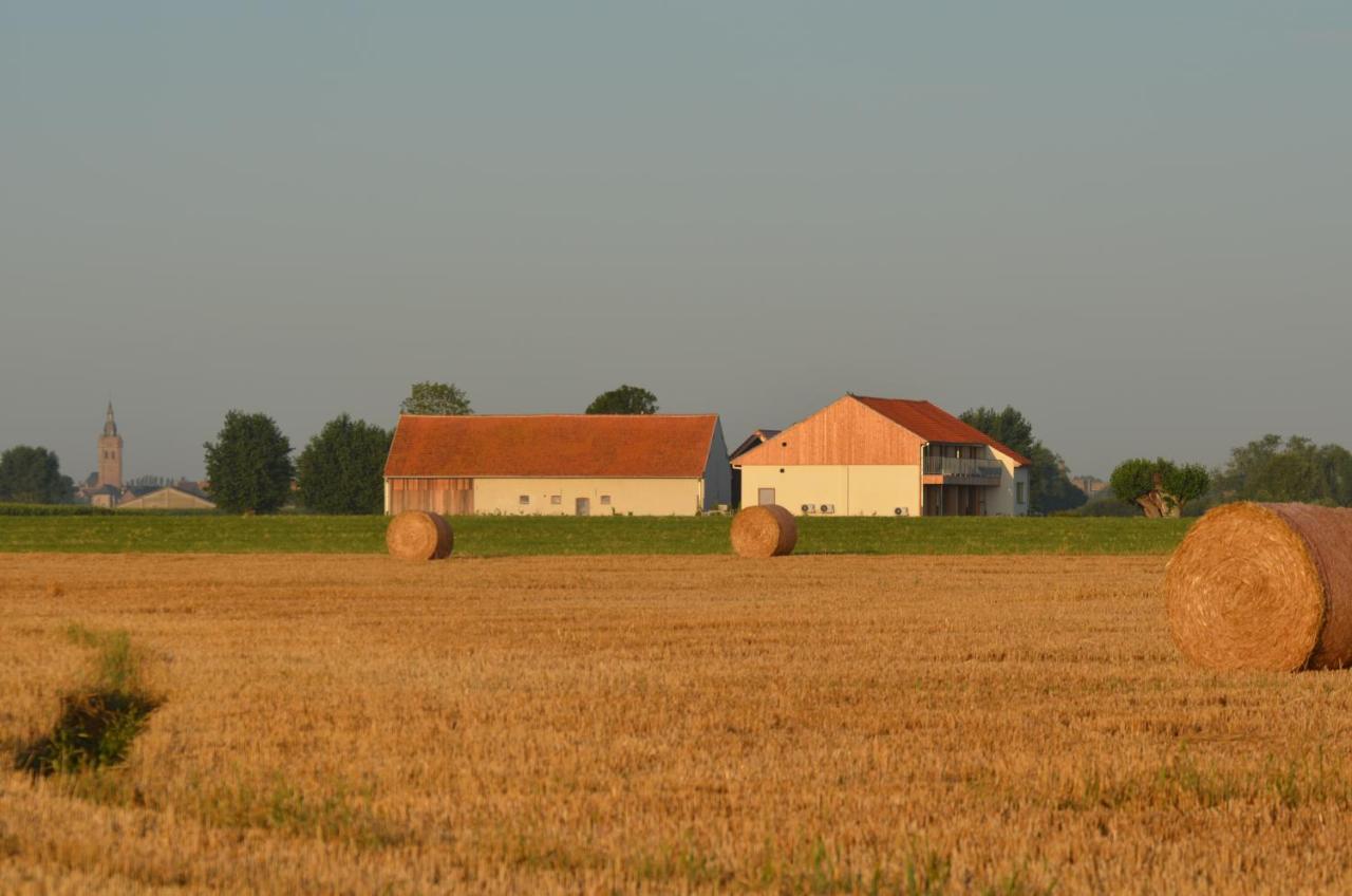 Oversteekhof Roesbrugge-Haringe Exteriér fotografie
