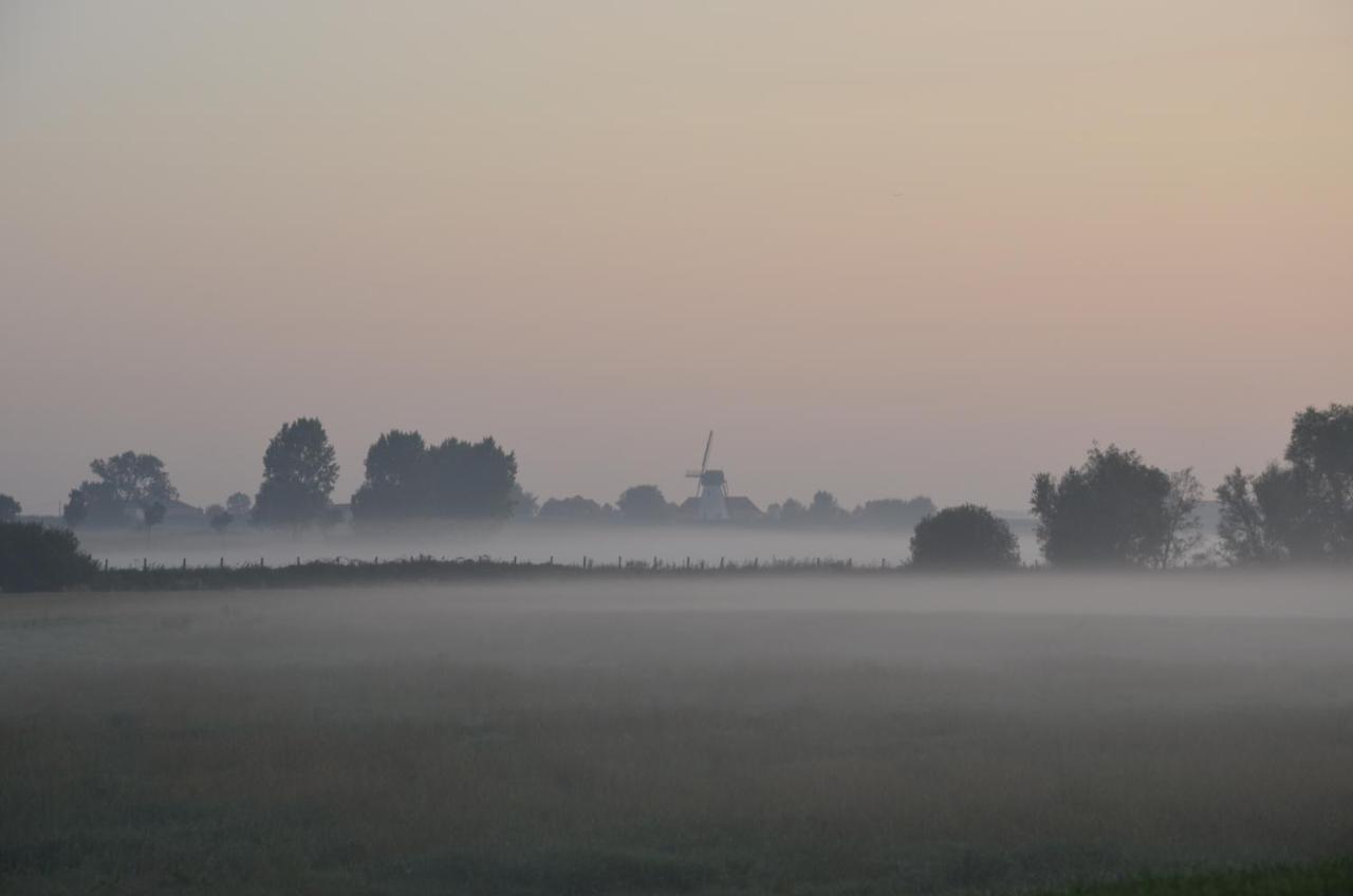 Oversteekhof Roesbrugge-Haringe Exteriér fotografie